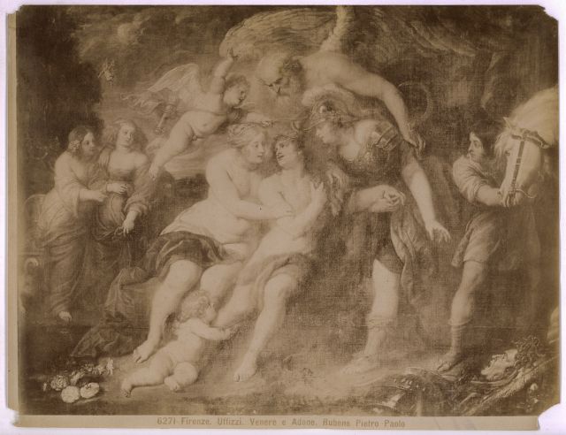 Brogi — Firenze. Uffizzi. Venere e Adone. Rubens Pietro Paolo — insieme